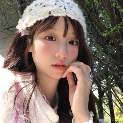 豺狼的日子2024